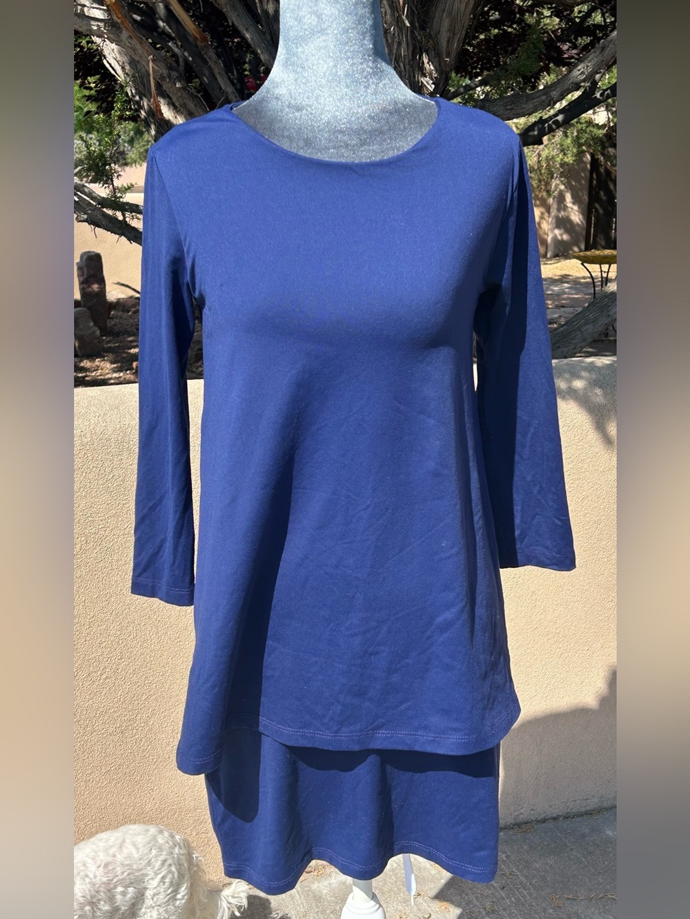 Susana Monaco Royal Blue Sheath Dress